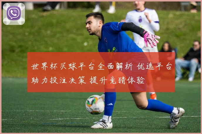 世界杯买球平台全面解析 优选平台助力投注决策 提升竞猜体验