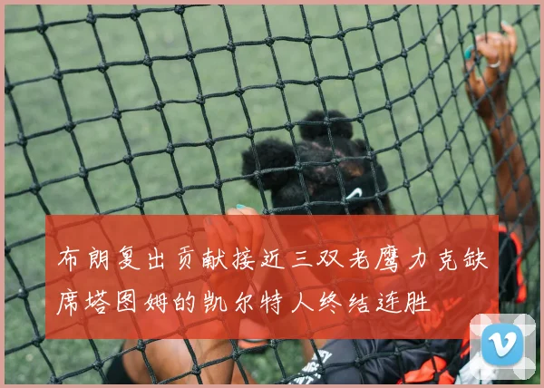 布朗复出贡献接近三双老鹰力克缺席塔图姆的凯尔特人终结连胜