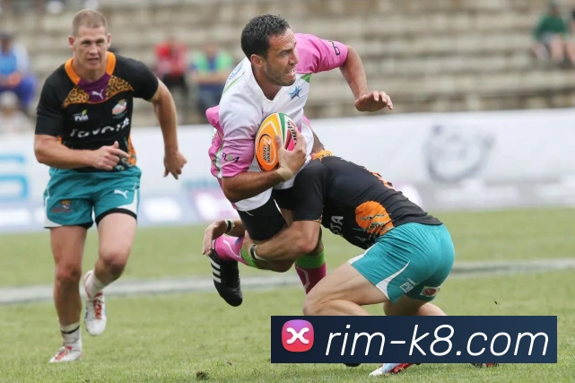 凯发娱乐平台展示图